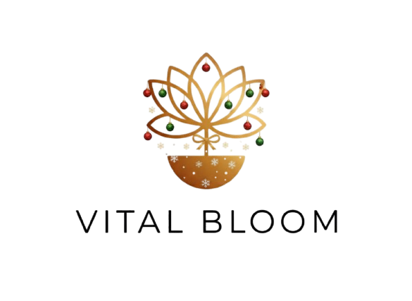 Christmas 2025 Bundles